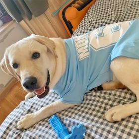 Summer Dog Thin Pet Clothing Vest (Option: )