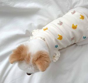 Spring Thin Cat Flying Sleeve Vest Dog Two Feet Apparel (Option: )