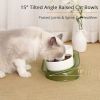 Elevated Cat Bowls, Raised Cats Ceramic Food and Water Stand Bowl Dishes for Cats Small Dogs or Puppy, 15Â¬âˆž Tilted Anti Vomiting Stress Free Feeder De