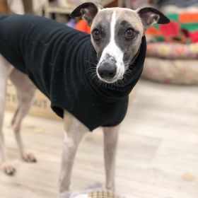 Polar Fleece Turtleneck Soft Dog Clothes (Option: )